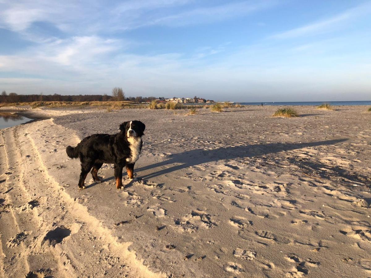 Ferienwohnung „Die Koje“ Hohwacht/Ostsee Dış mekan fotoğraf